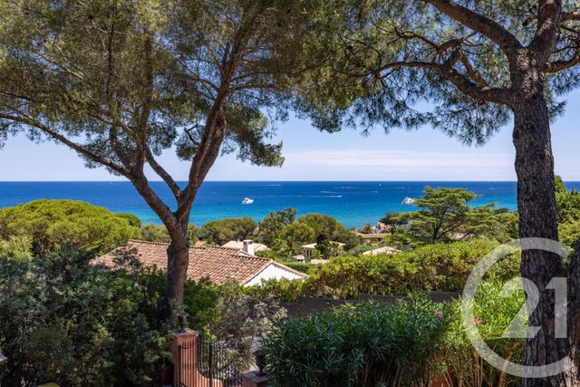 maison à vendre - 9 pièces - 228.71 m2 - STE MAXIME - 83 - PROVENCE-ALPES-COTE-D-AZUR - Century 21 Donzica Immobilier