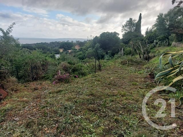 terrain à vendre - 1642.0 m2 - LES ISSAMBRES - 83 - PROVENCE-ALPES-COTE-D-AZUR - Century 21 Donzica Immobilier