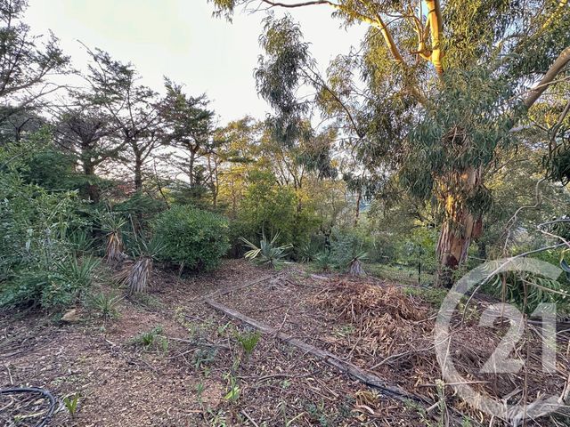 maison à vendre - 8 pièces - 150.0 m2 - STE MAXIME - 83 - PROVENCE-ALPES-COTE-D-AZUR - Century 21 Donzica Immobilier